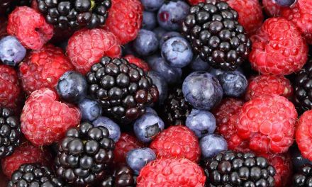 Protect Your Brain With Berries