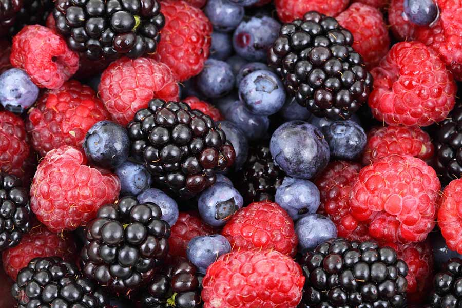 Protect Your Brain With Berries