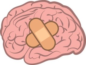 Isolated brain with bandage attached