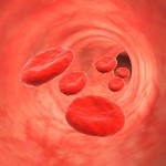 Blood cells streaming in artery