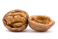 A split walnut even looks a little like a brain
