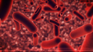 3D rendering of Bacteria infection under microscope.