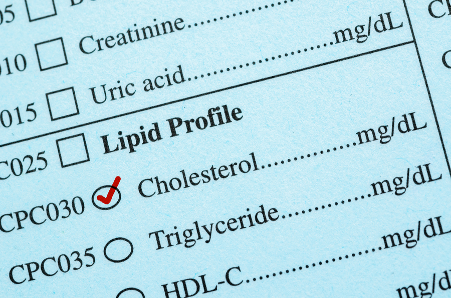 Can L-Carnitine Help Improve Results of Your Lipid Profile (Cholesterol)?