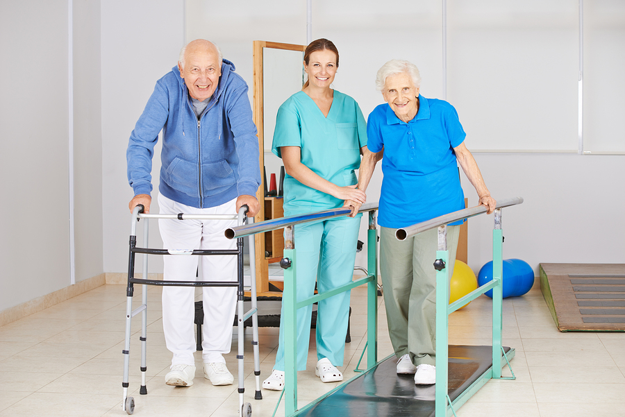 Nutrient Intake and Frailty in the Elderly