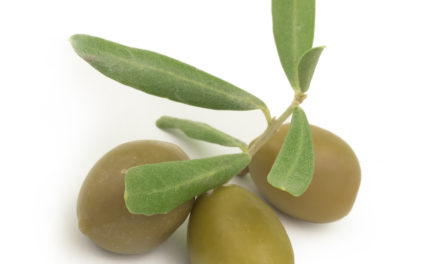 Olive Leaf Extract and Blood Pressure