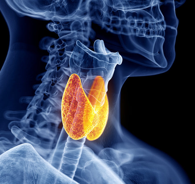 Are There 13 Million with Undiagnosed Thyroid Problem?
