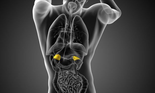 What to do for the Adrenals by J. Rosenbaum