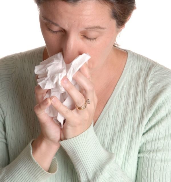 Echinacea for the Common Cold?