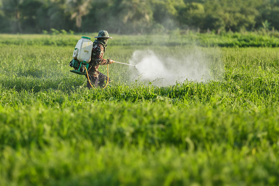 Exposure to Pesticides Damages the Brain and Nervous System