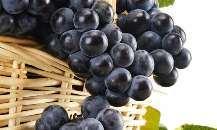 Resveratrol Protects from Colon Cancer