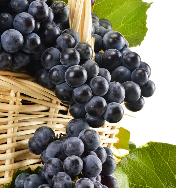 Resveratrol Protects from Colon Cancer