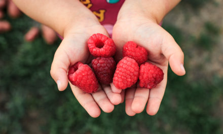 Raspberries and Esophageal Cancer