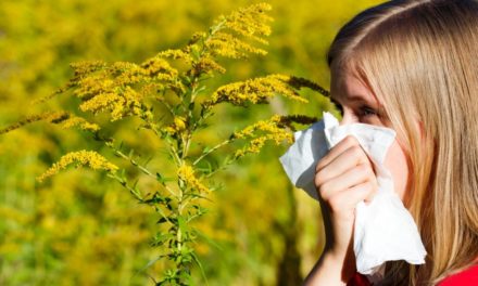 Allergies and Asthma on the Rise