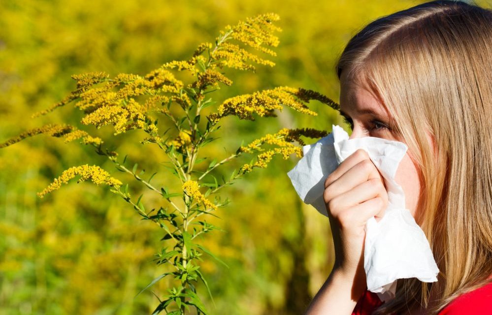 Allergies and Asthma on the Rise