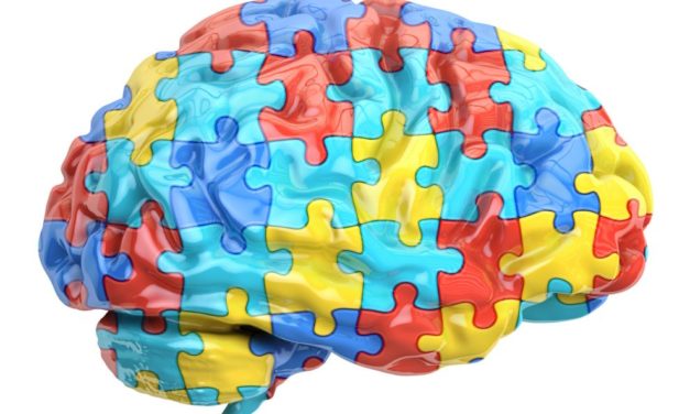 The Immune System May be Involved in Autism