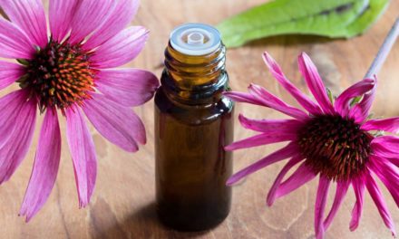 Upper Respiratory Infections and Echinacea
