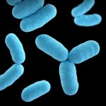 Bowel Flora and Rheumatoid Arthritis