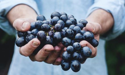 Grape Extract Protects from Colon Cancer