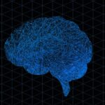 Phosphatidylcholine and Brain Health: Supporting Memory and Focus